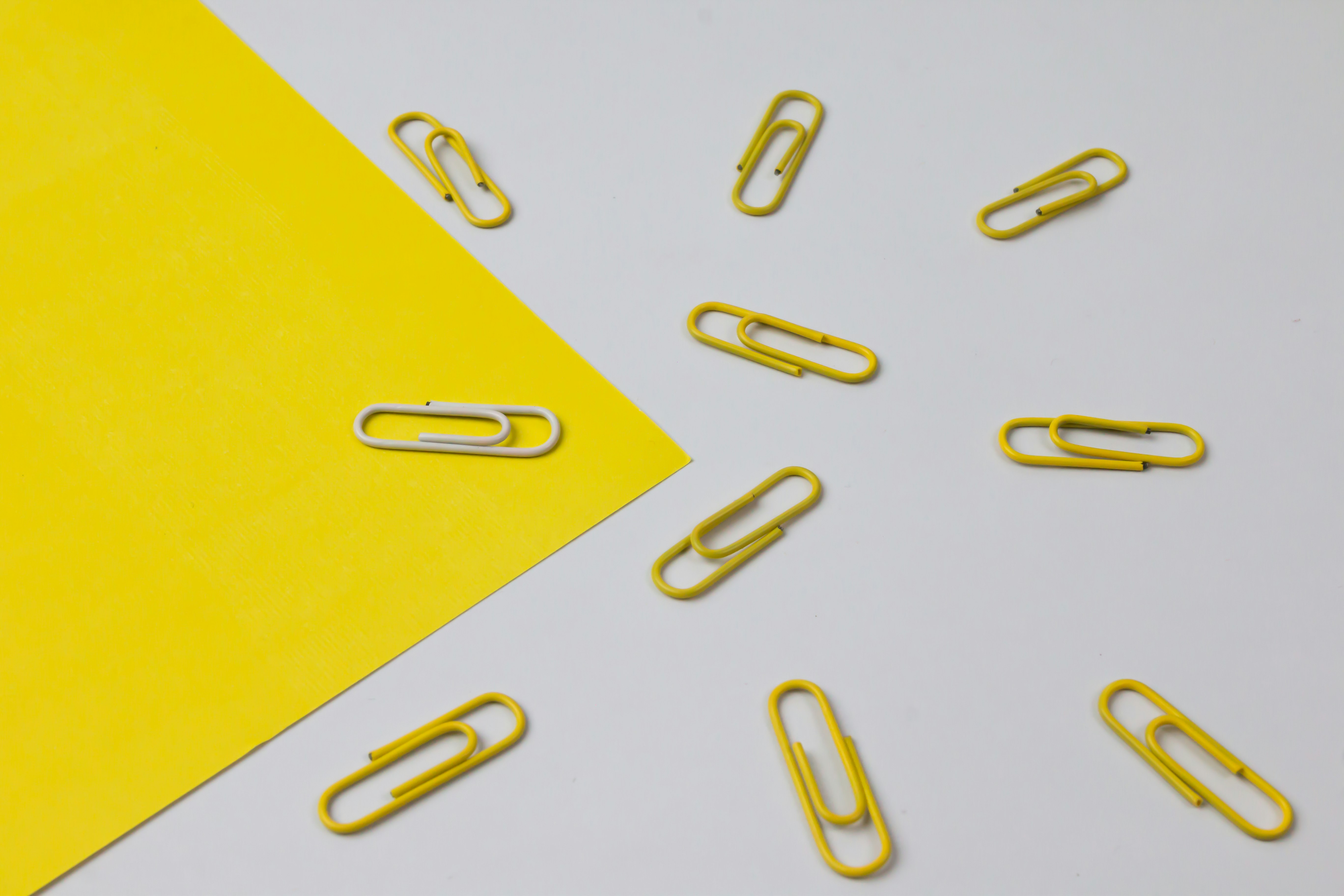 Yellow color paper clips with only a white one isolated on paper background