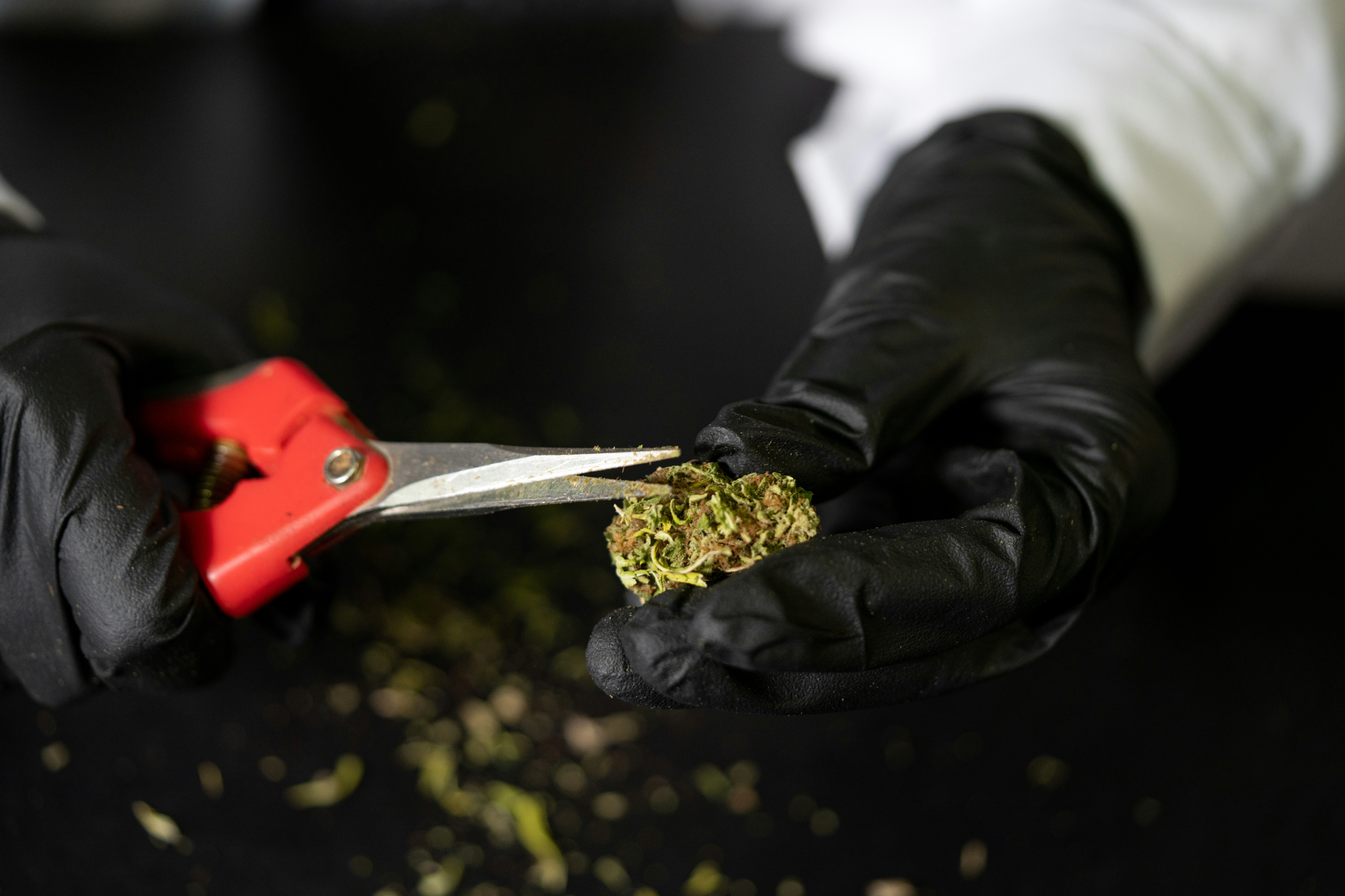 Photo by crystalweed