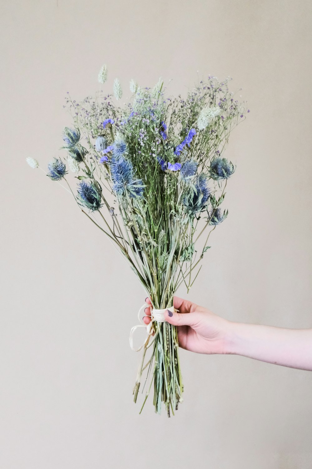 personne tenant des fleurs bleues et blanches