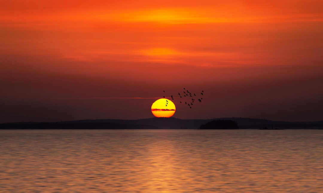 sunset over the sea and mountains