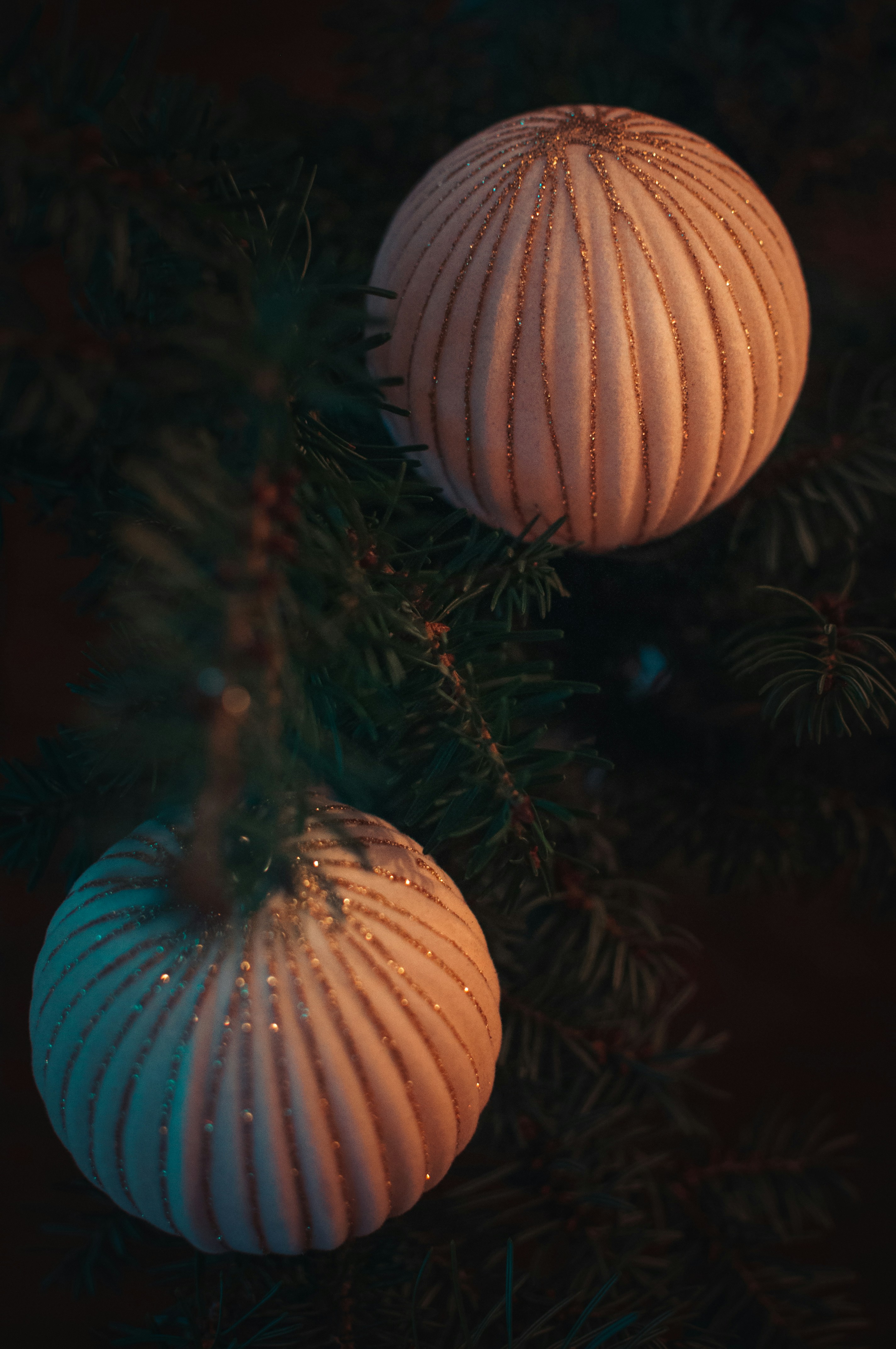 Photo by hertwashere