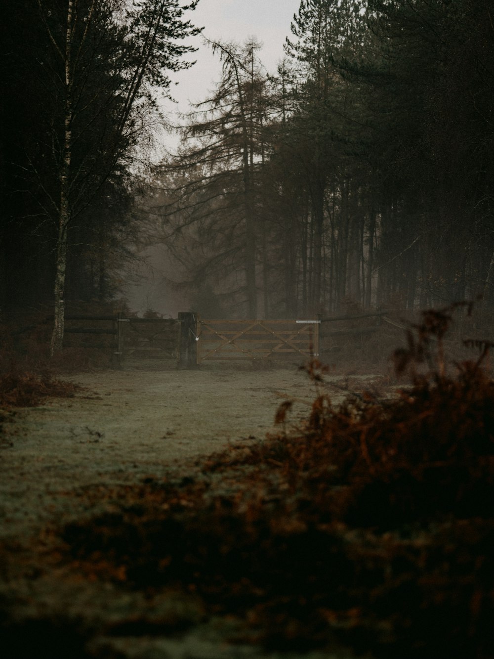 brown wooden fence on green grass field