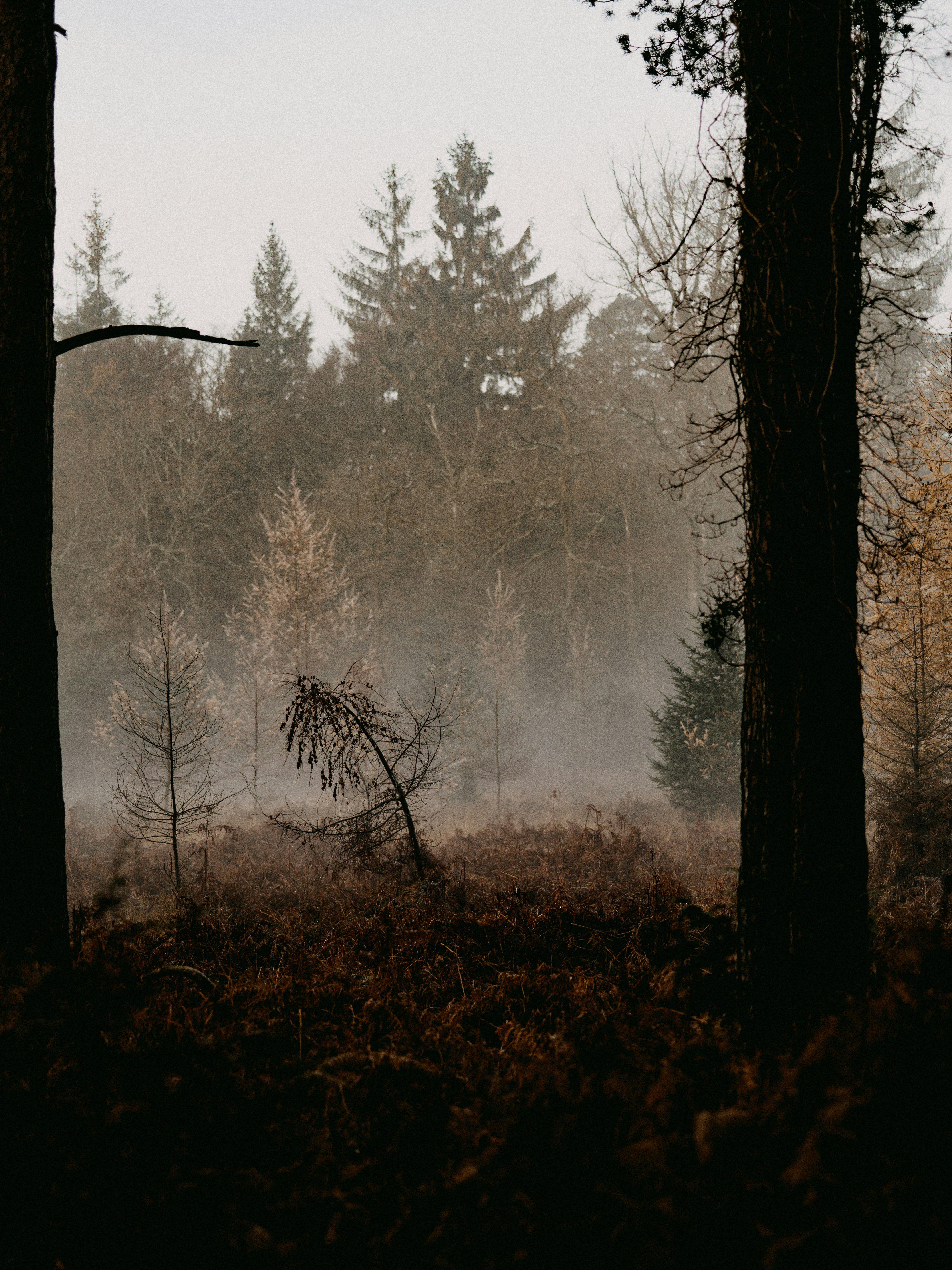 Photo by anniespratt