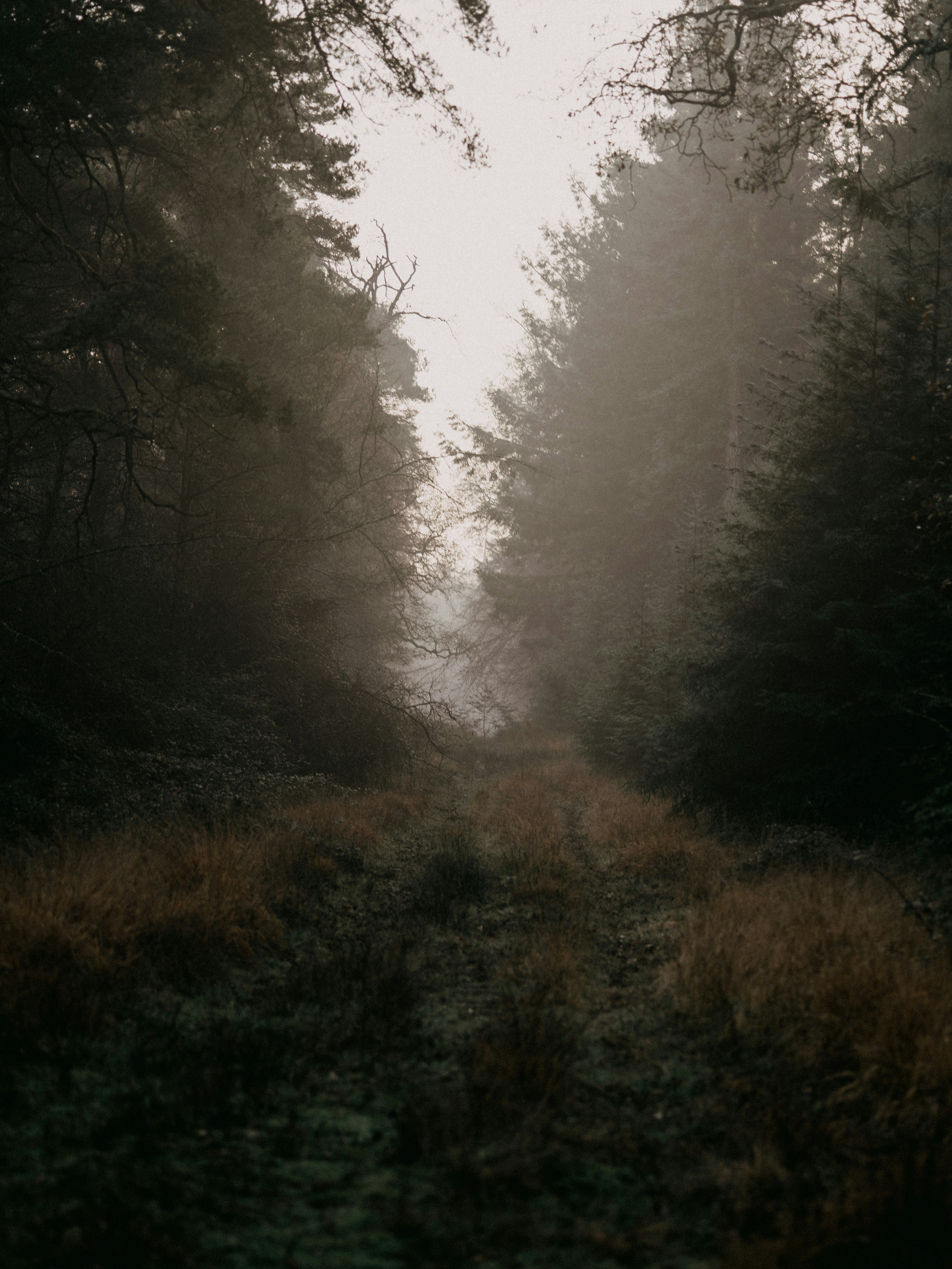 Photo by anniespratt