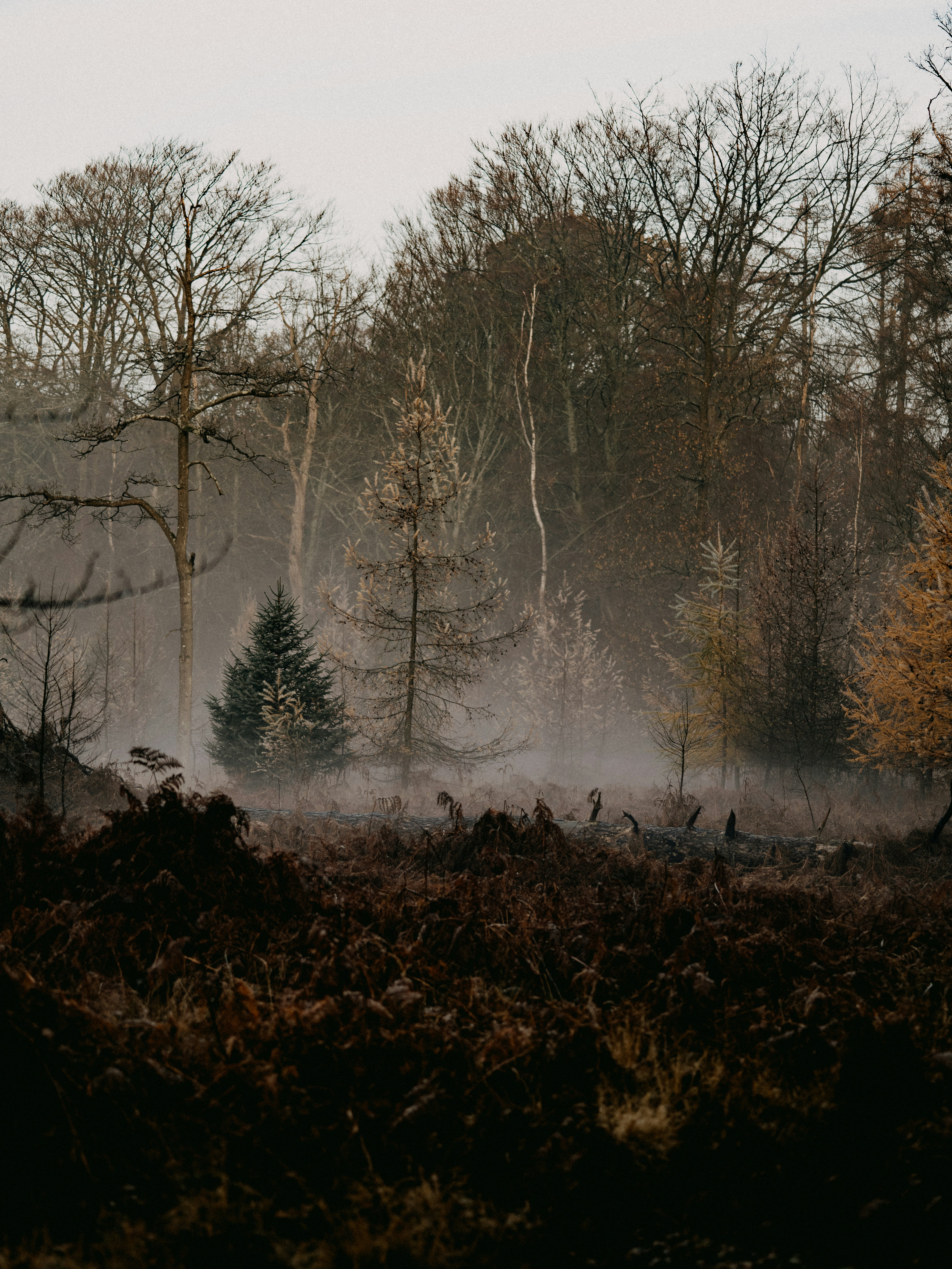 Photo by anniespratt