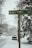 A street sign labeled 'WINTERSET DR' is mounted on a wooden pole, surrounded by a snowy landscape. Snow blankets the ground and trees, with vehicles parked along the side of the road. Bare branches of trees are visible, covered in white snow, and the road appears slippery, with a notable winter atmosphere.