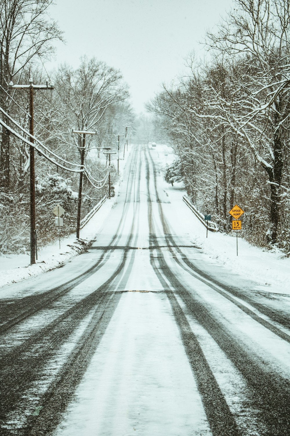 snow covered road between trees during daytime