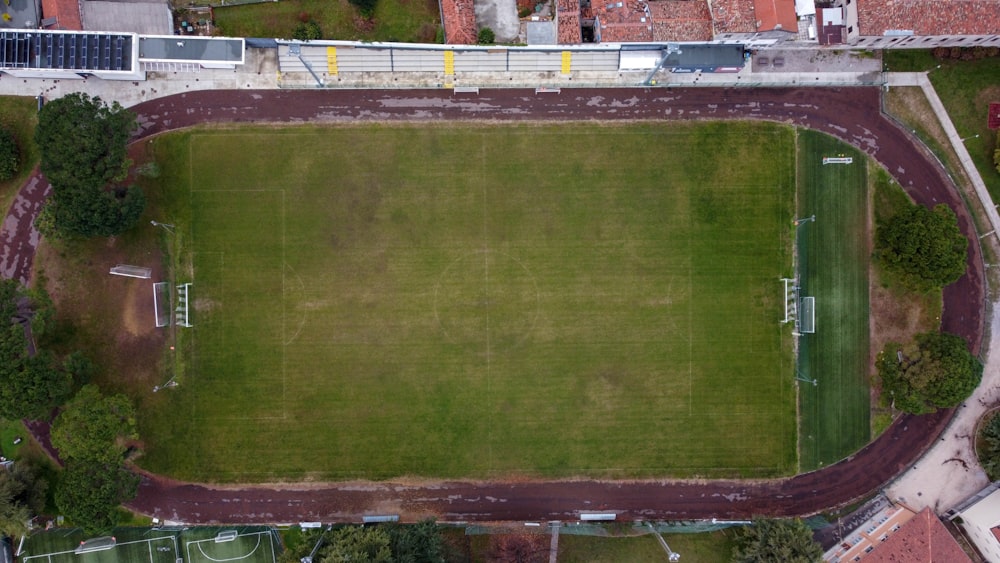 Campo de hierba verde durante el día