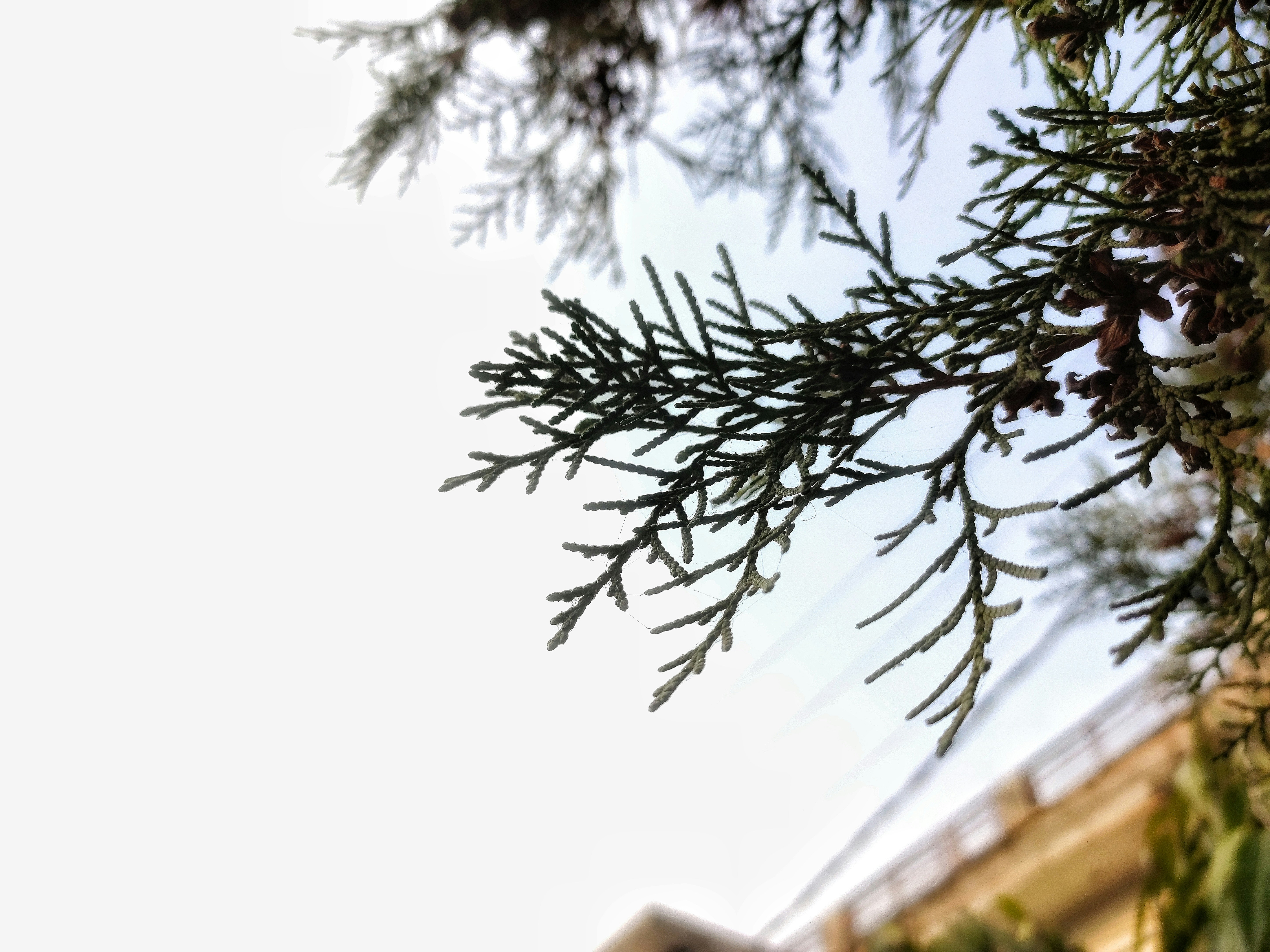 Photo by gagangulyani