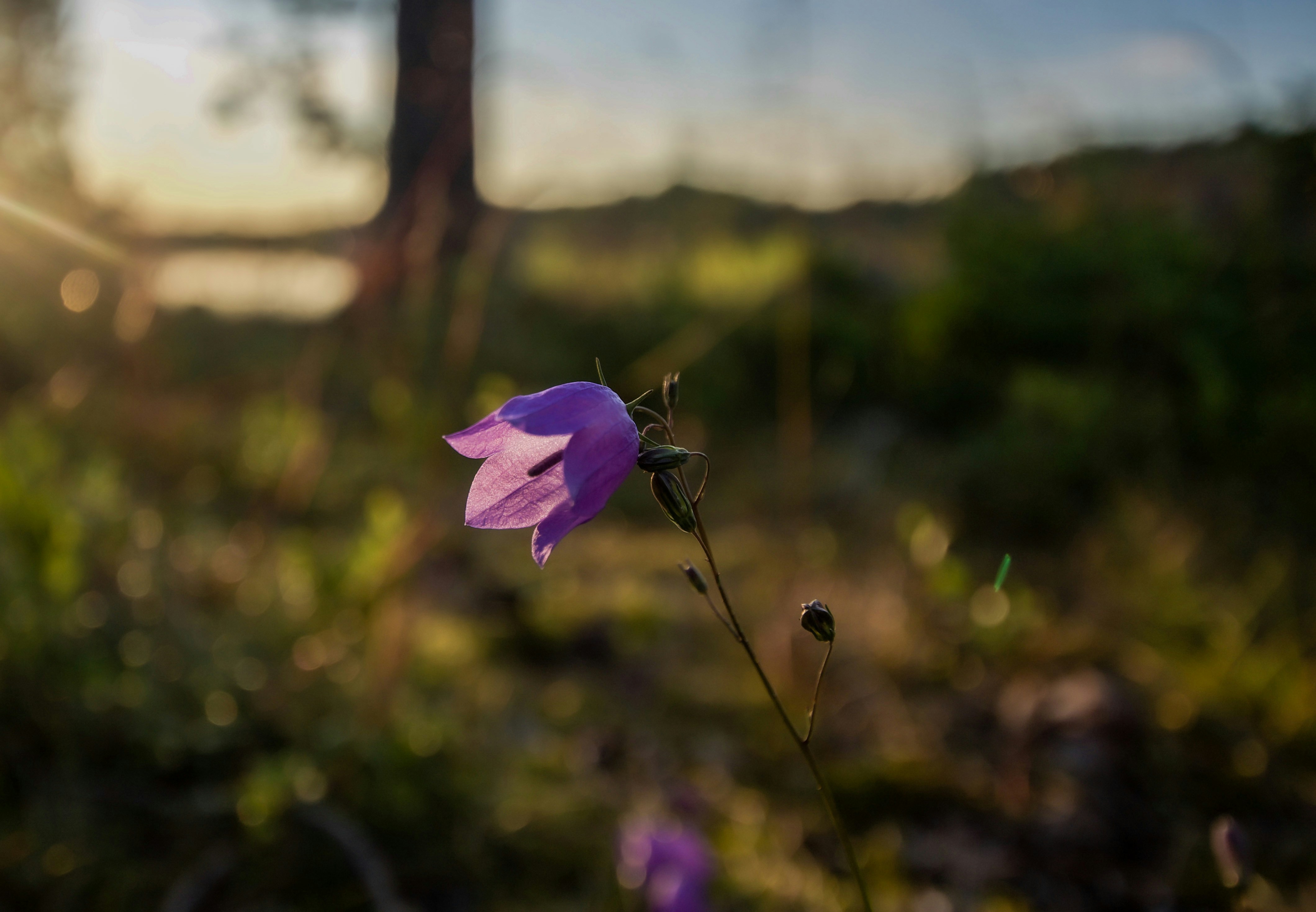 Photo by photosharing1000