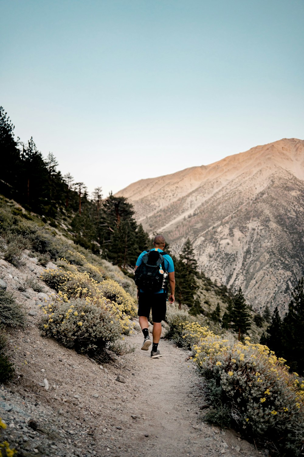 man in blue shirt and black shorts walking on dirt road