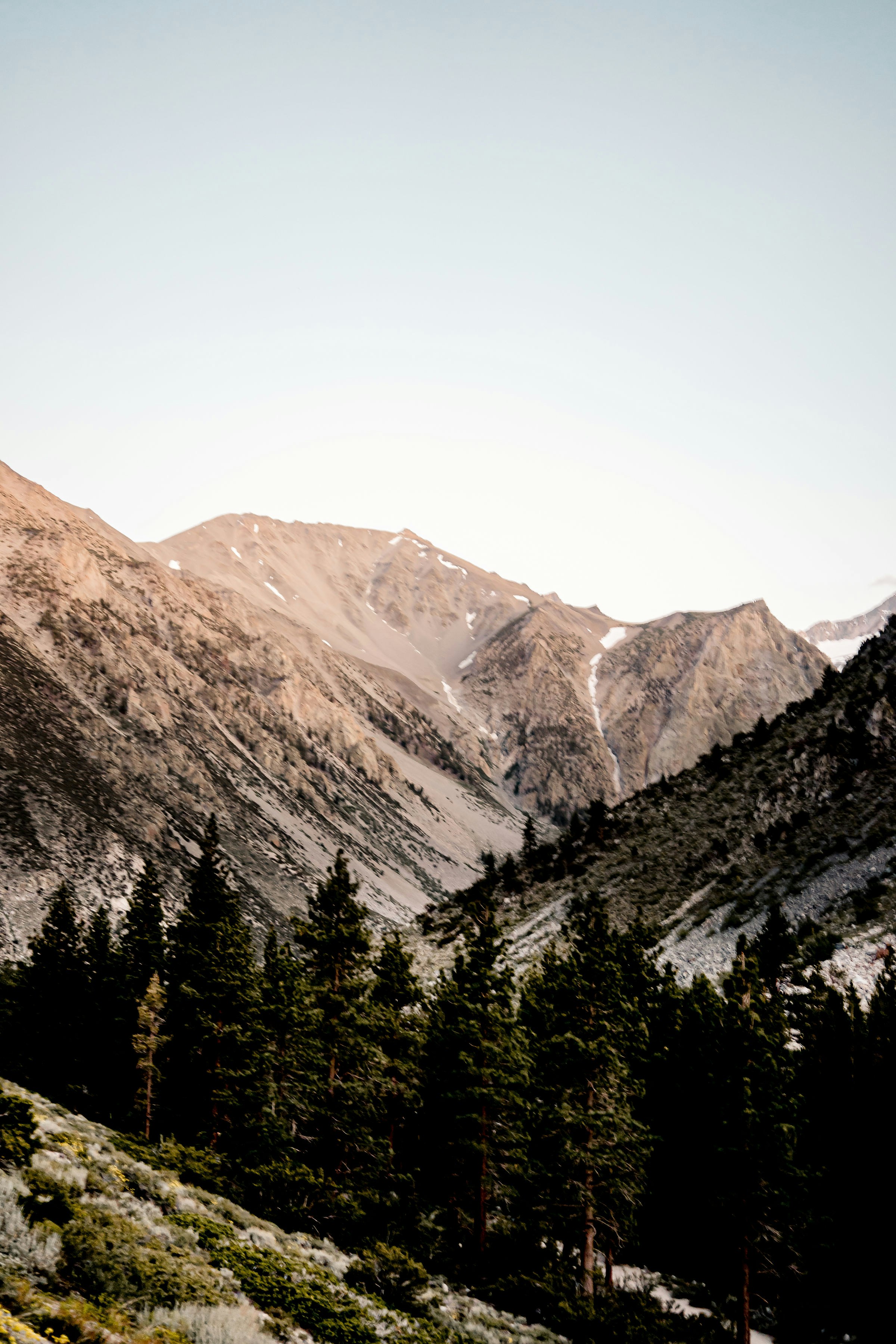 Photo by felipe_callado