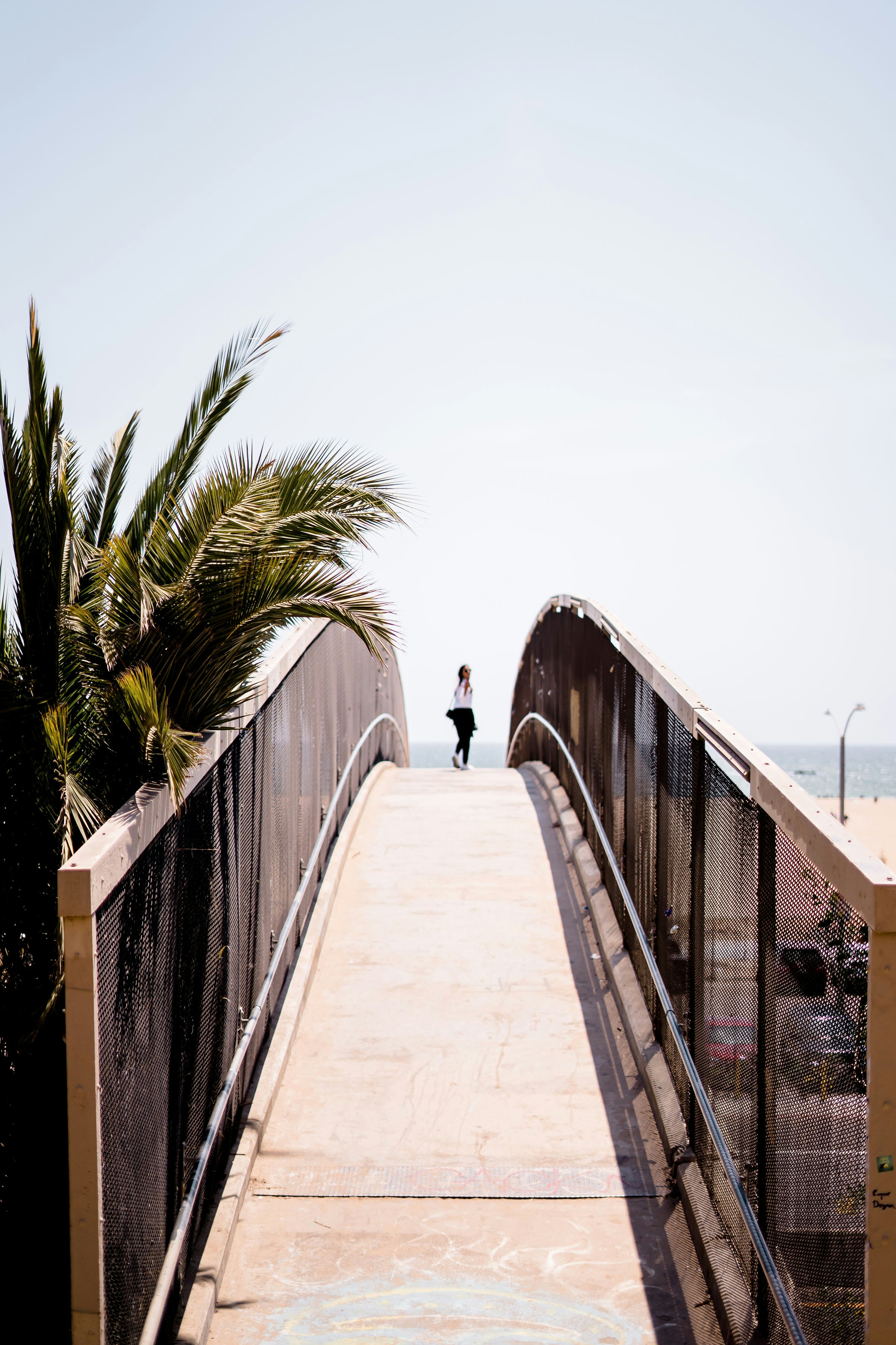 Photo by felipe_callado