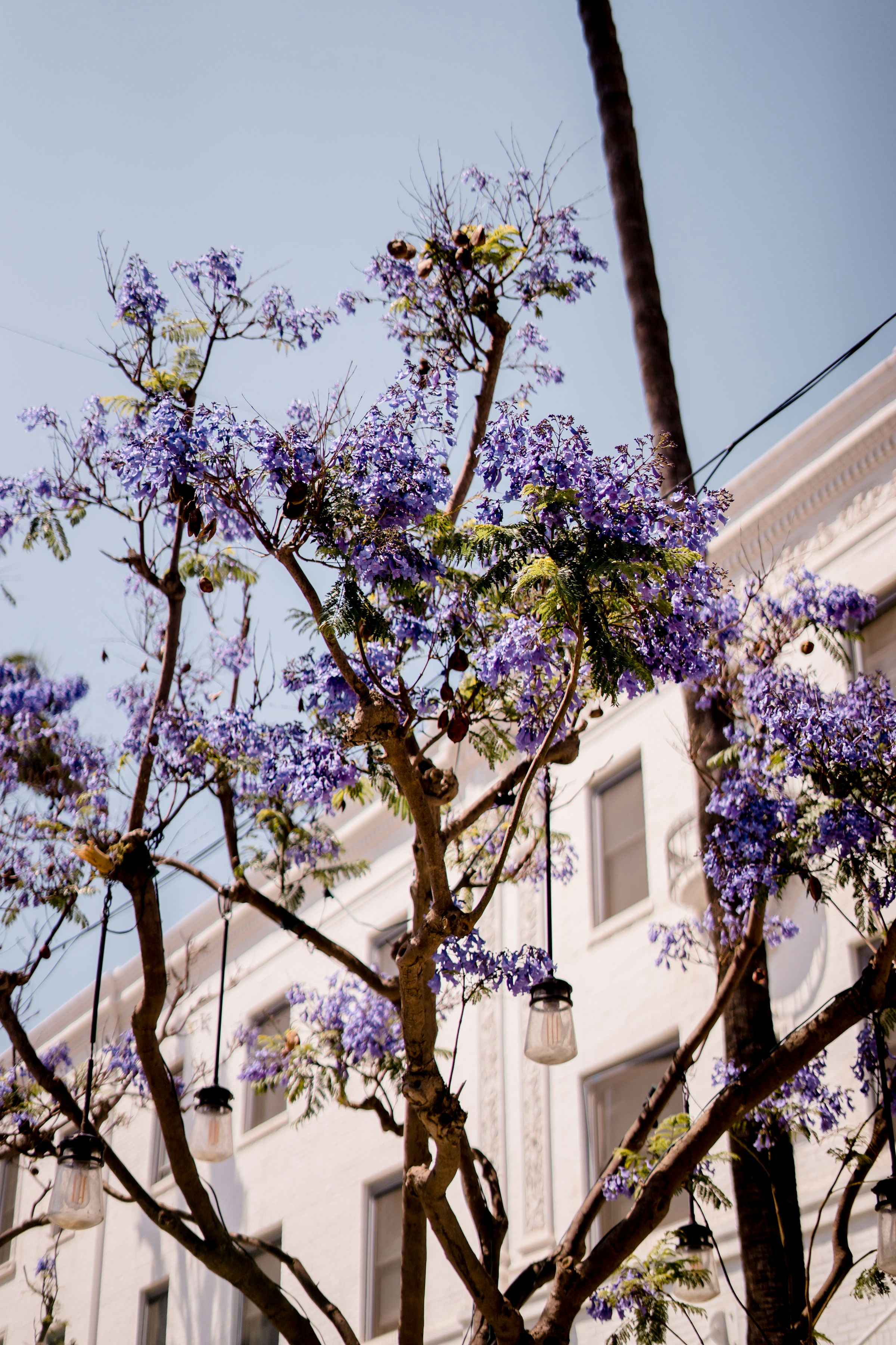 Photo by felipe_callado