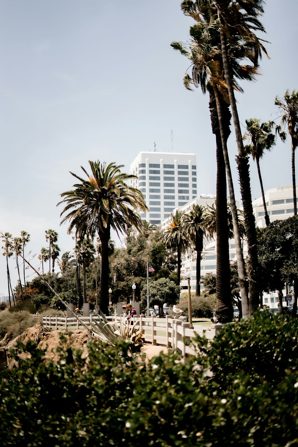 white concrete building near palm trees during daytime