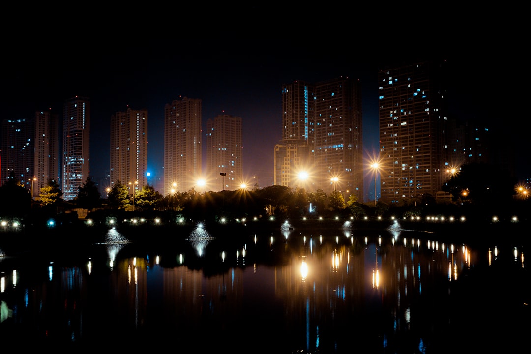 city skyline during night time,