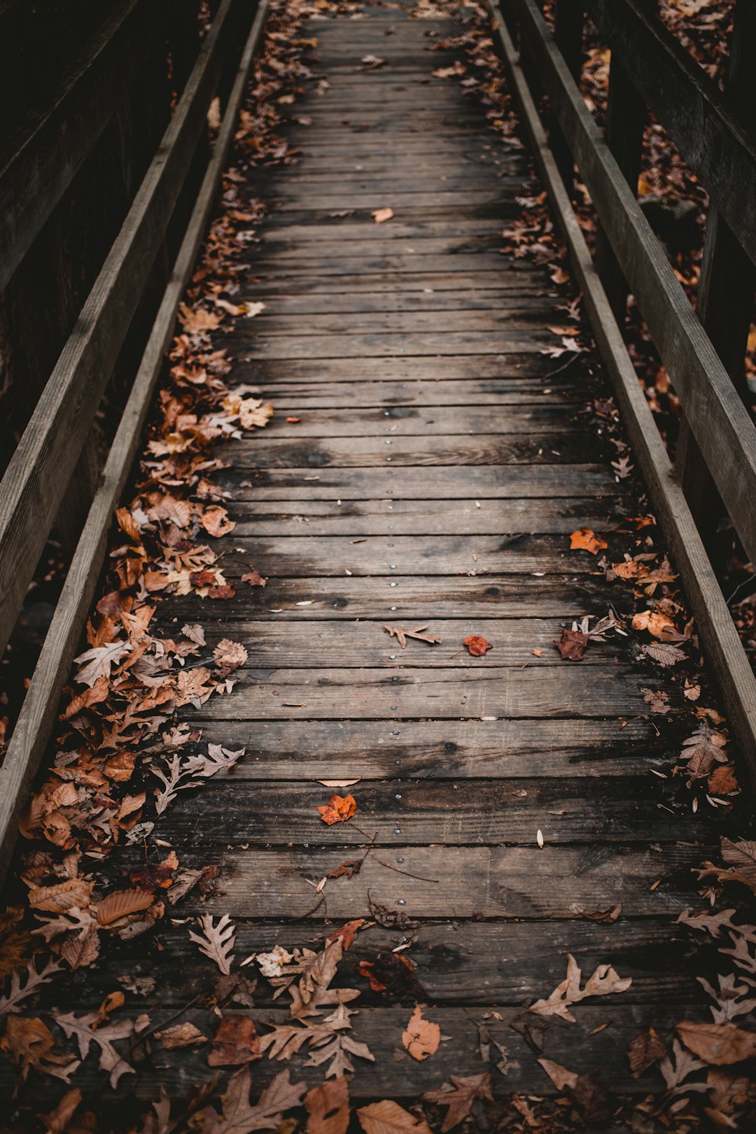 brown wooden bridge with dried leaves on the ground