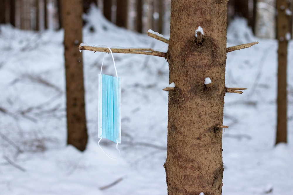 青いプラスチック製の洗濯バサミと茶色の木