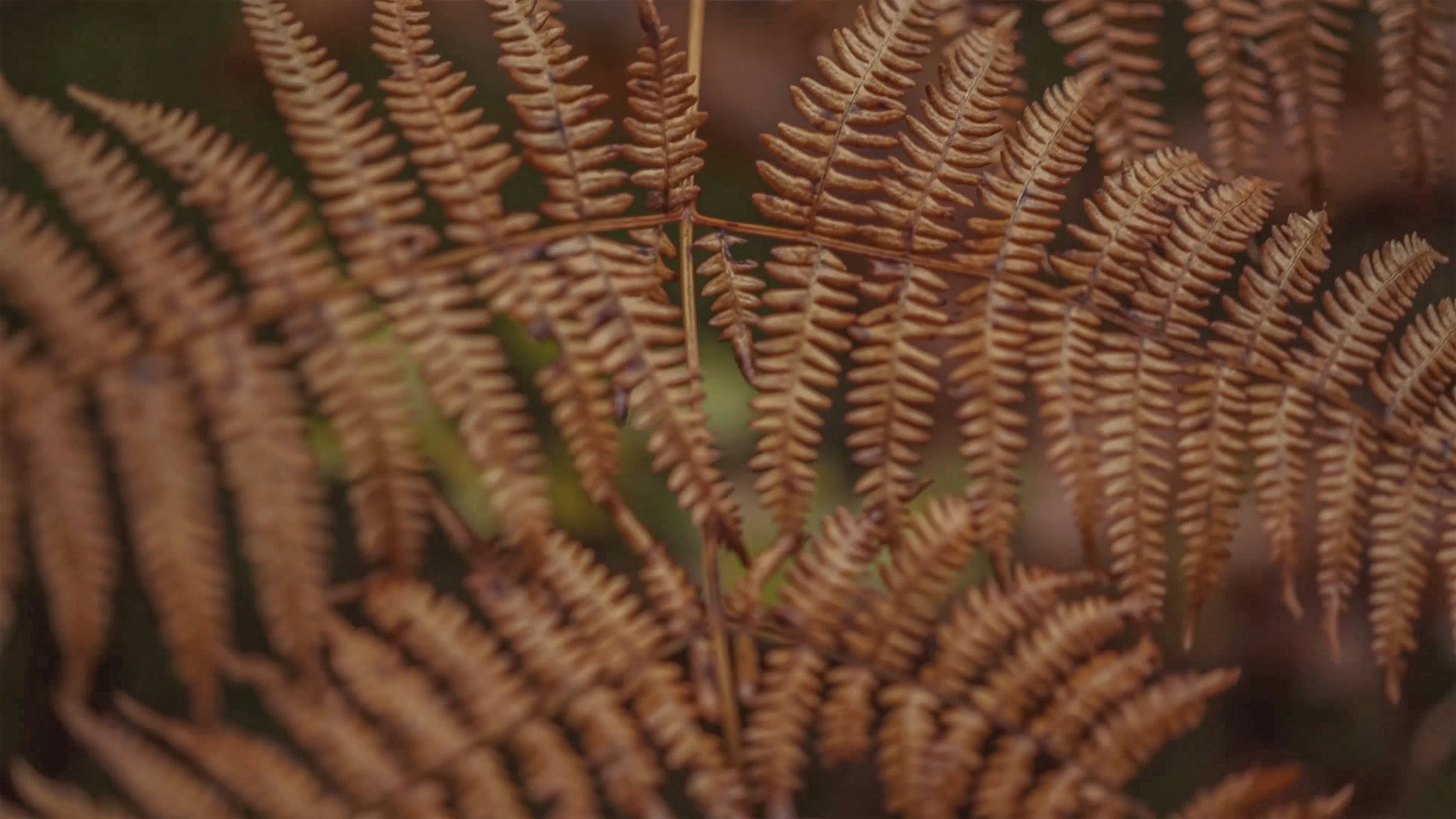 Photo by rethinktwice