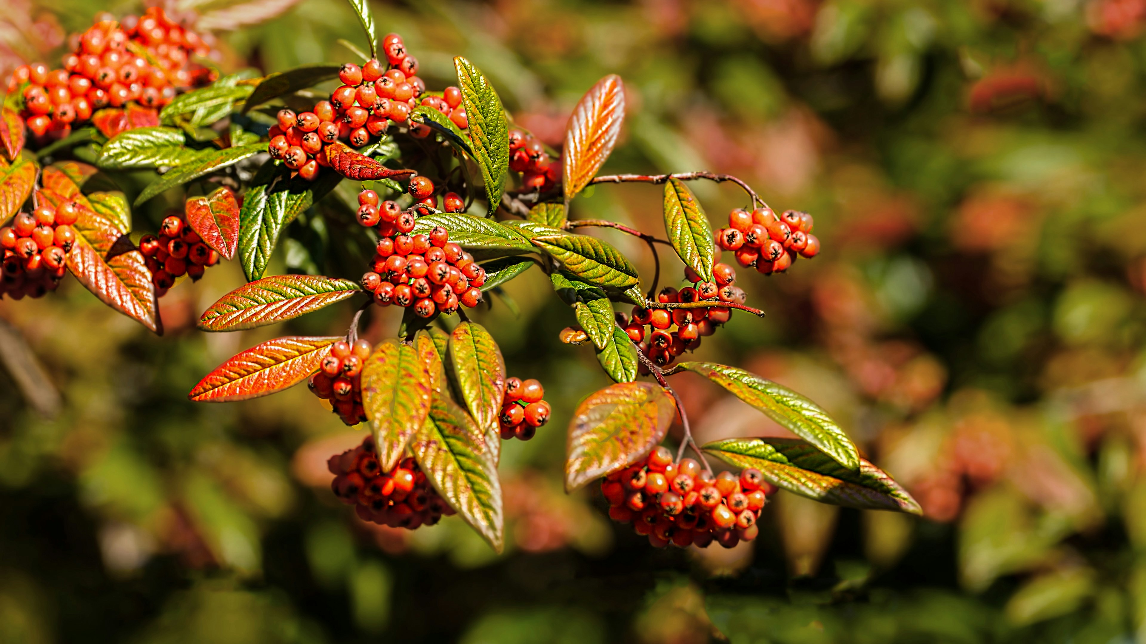 Photo by rethinktwice