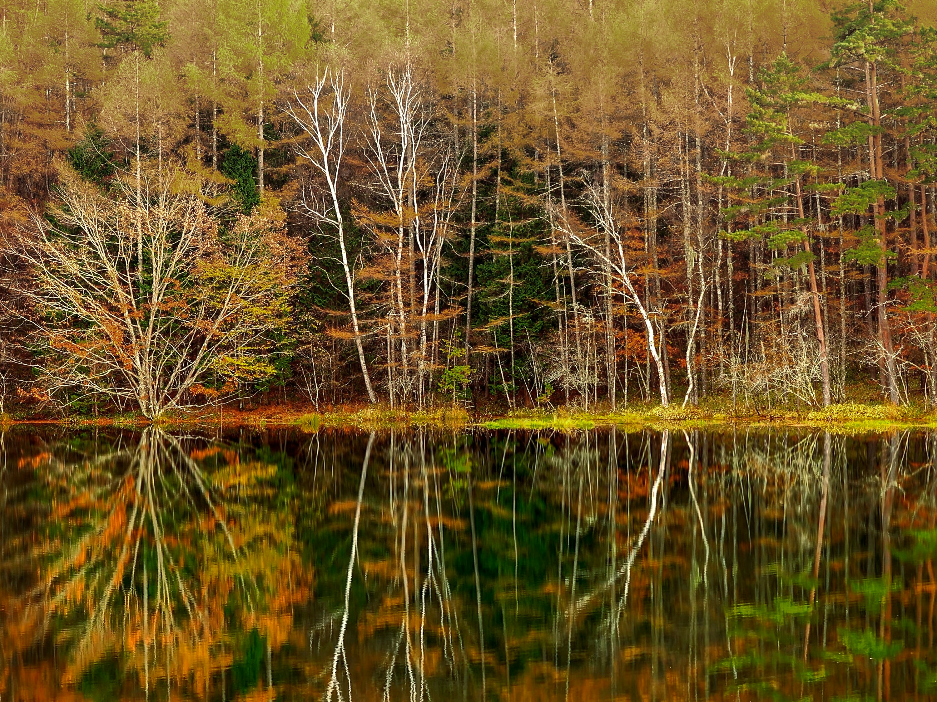 Photo by rethinktwice