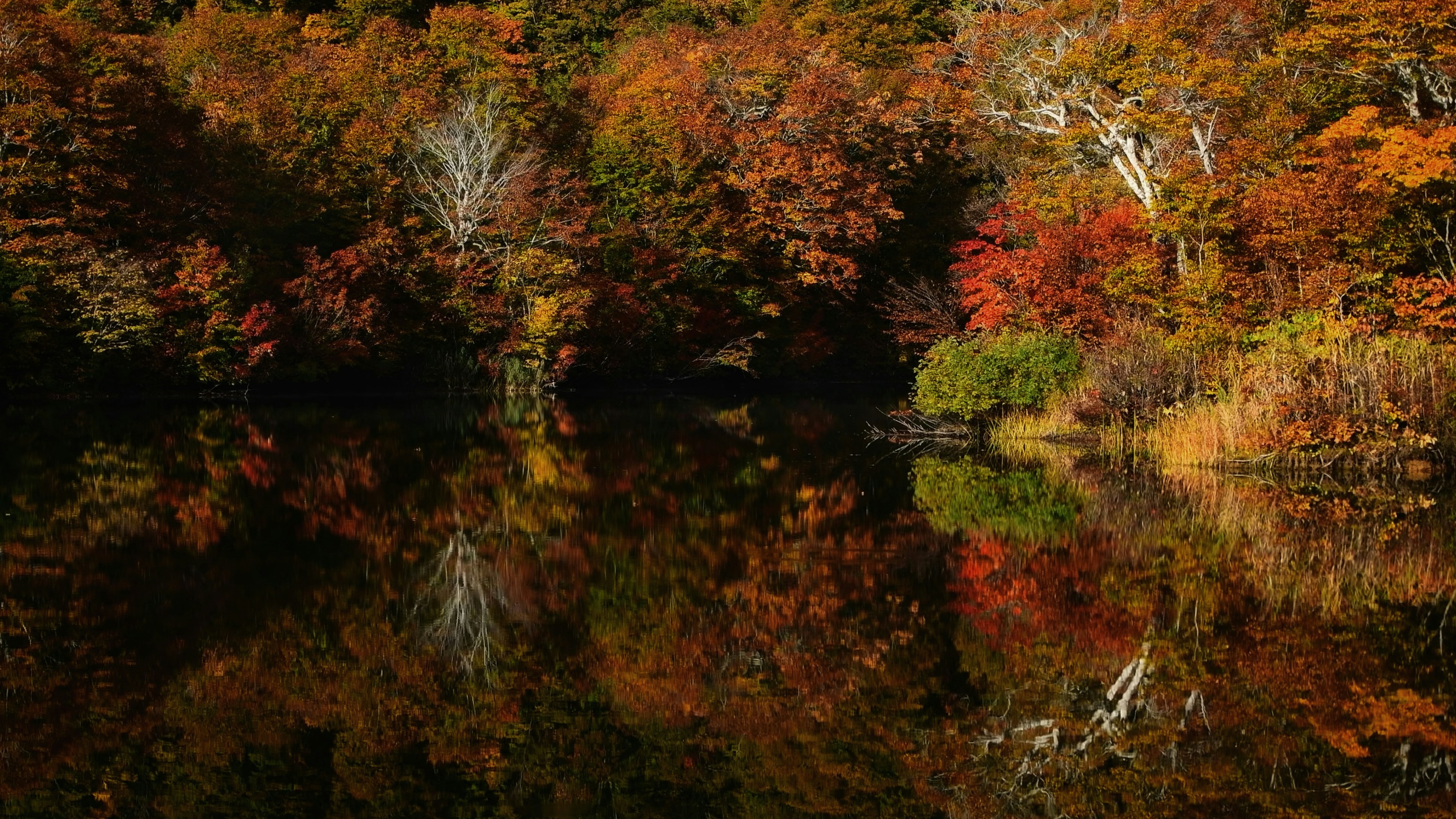 Photo by rethinktwice