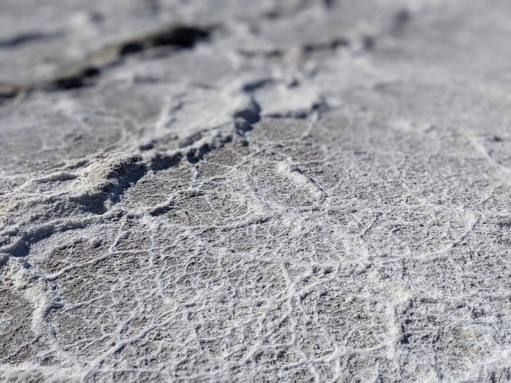 water droplets on gray concrete surface