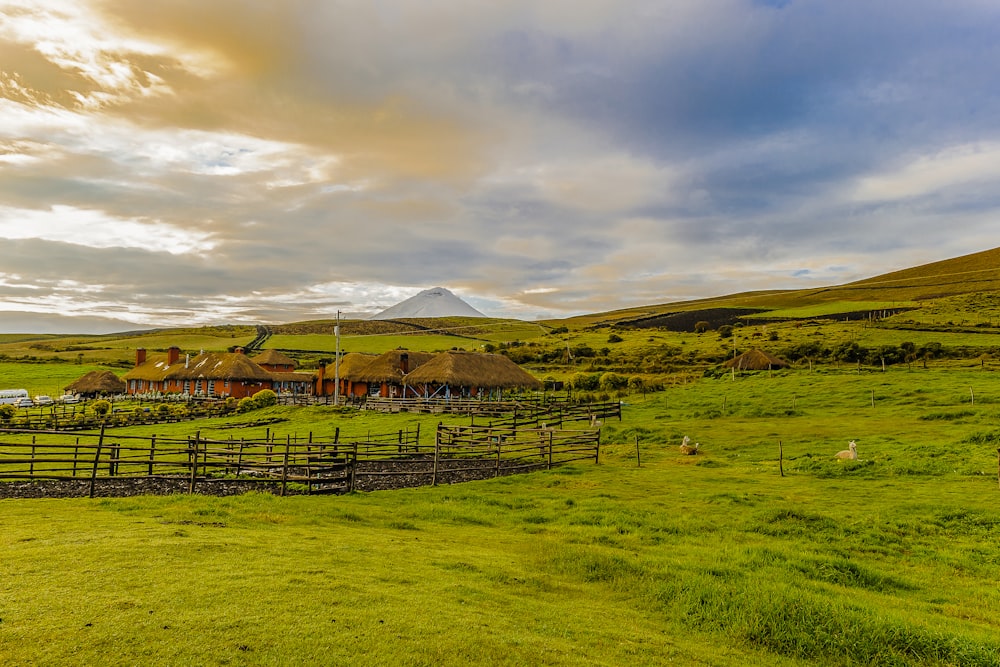 brown wooden fence on green grass field under blue sky during daytime