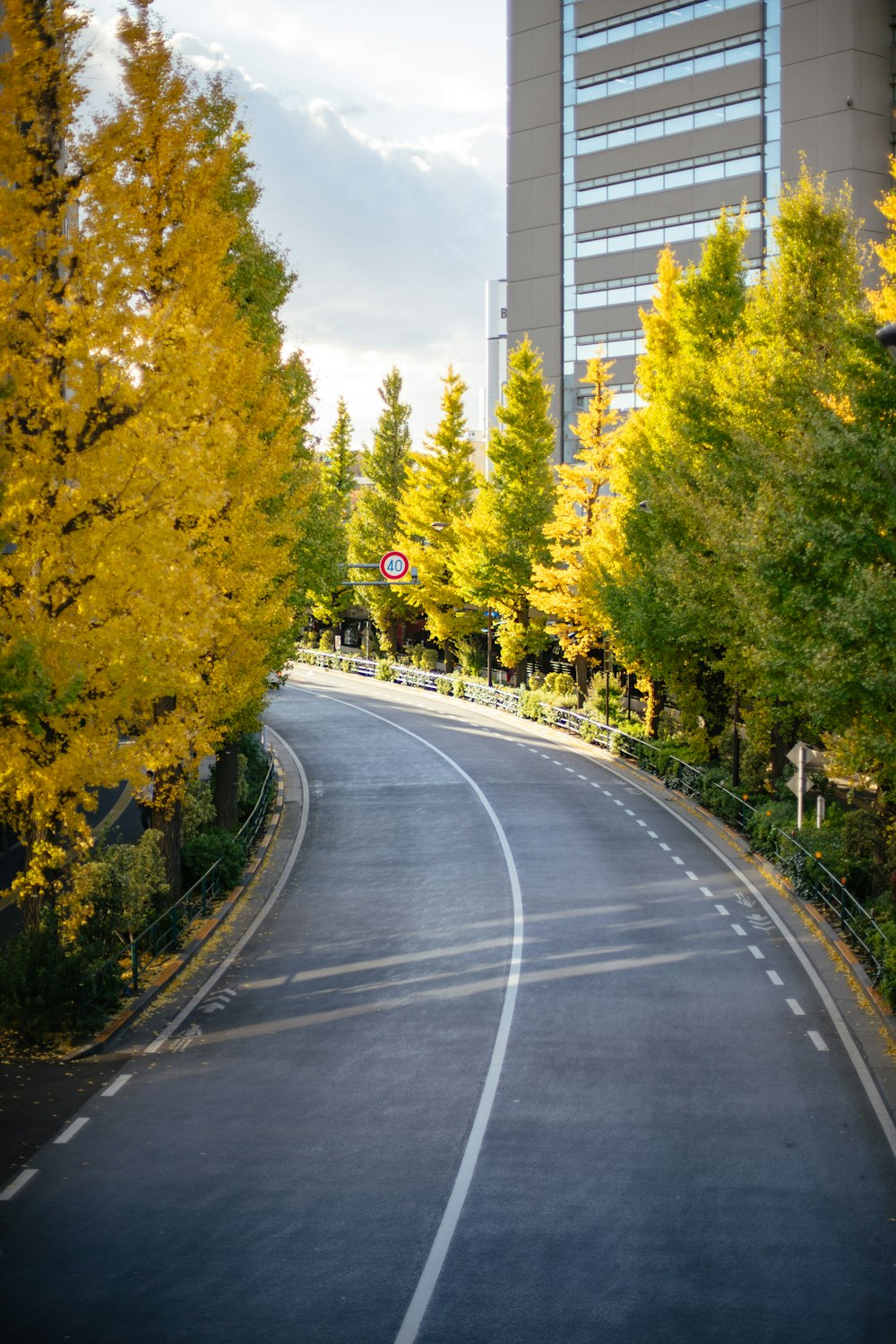 gray concrete road between green trees during daytime