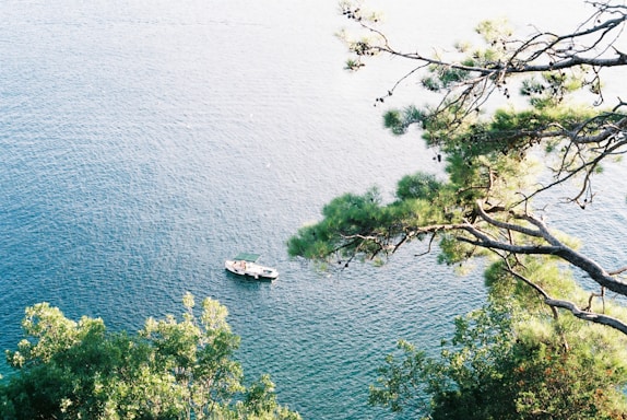 A serene view of a boat gliding through calm waters surrounded by lush greenery.