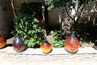 Four large glass bottles filled with fruits are displayed outdoors on a stone ledge. The bottles contain various types of fruit preserved in a liquid, with labels indicating the type of liquor, such as peach. Behind the bottles, there are lush green bushes and trees casting dappled shadows on a stone wall.