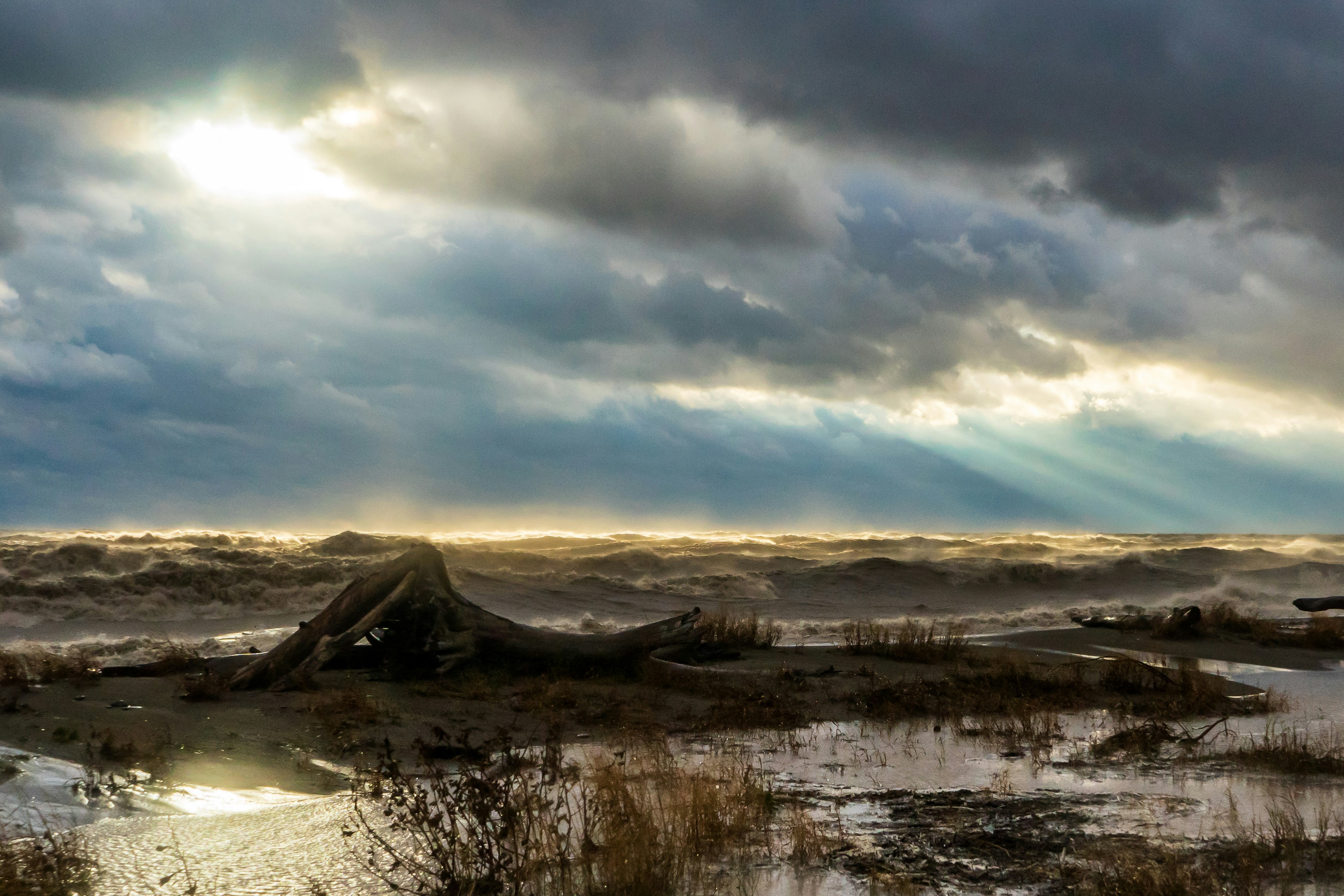 Photo by michael_g_krahn