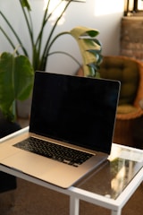 A serene workspace with a laptop and a plant, symbolizing productivity and intentional living.