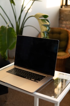 A serene workspace with a laptop and a plant, symbolizing productivity and intentional living.
