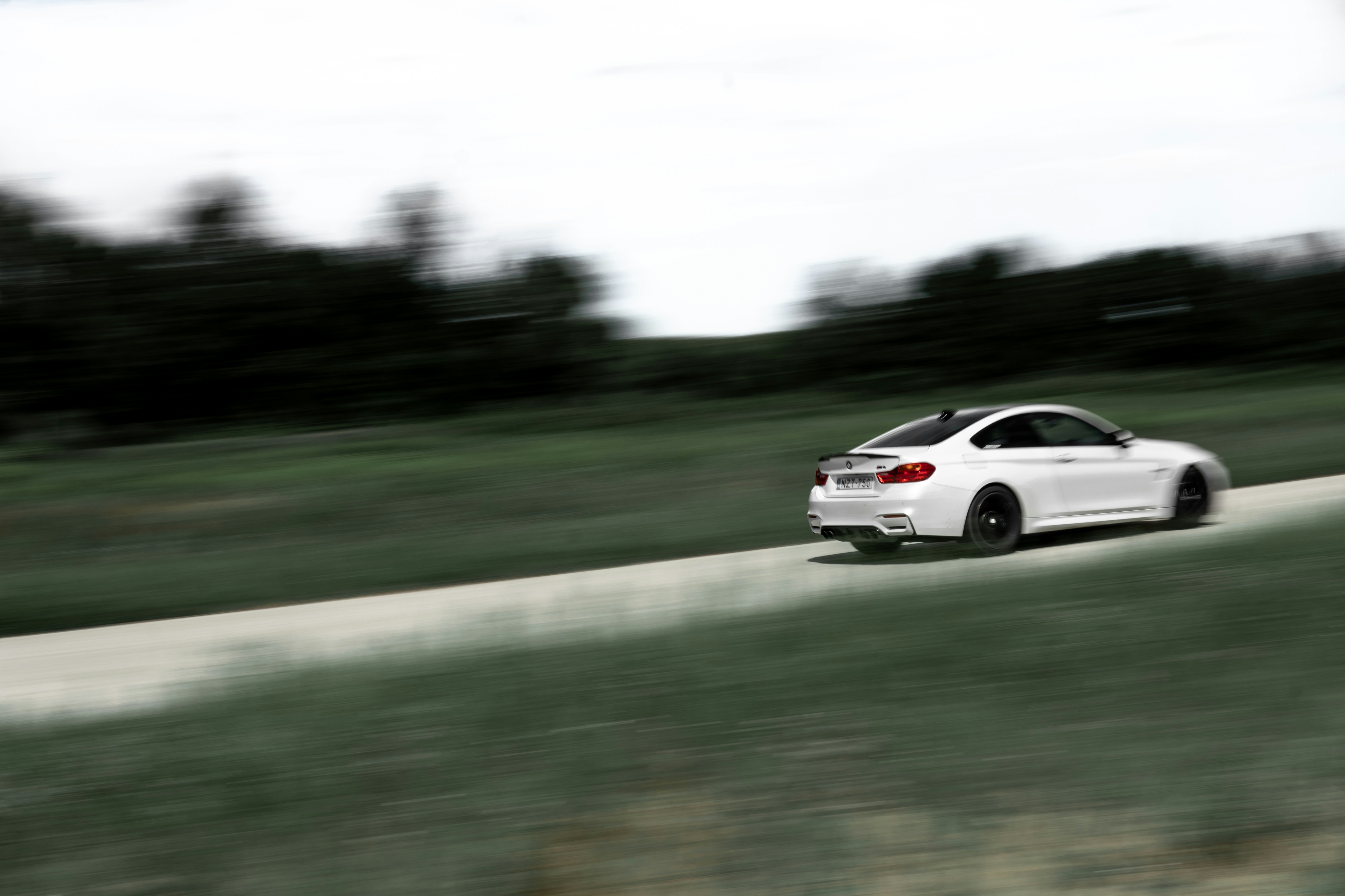 Photo by milancsizmadia