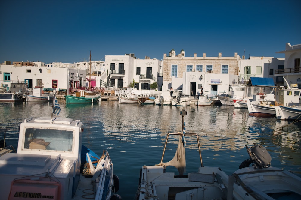 white and blue boats on dock near white concrete building during daytime