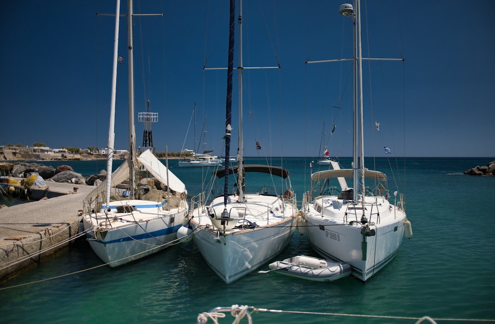 white and blue sail boat on sea during daytime