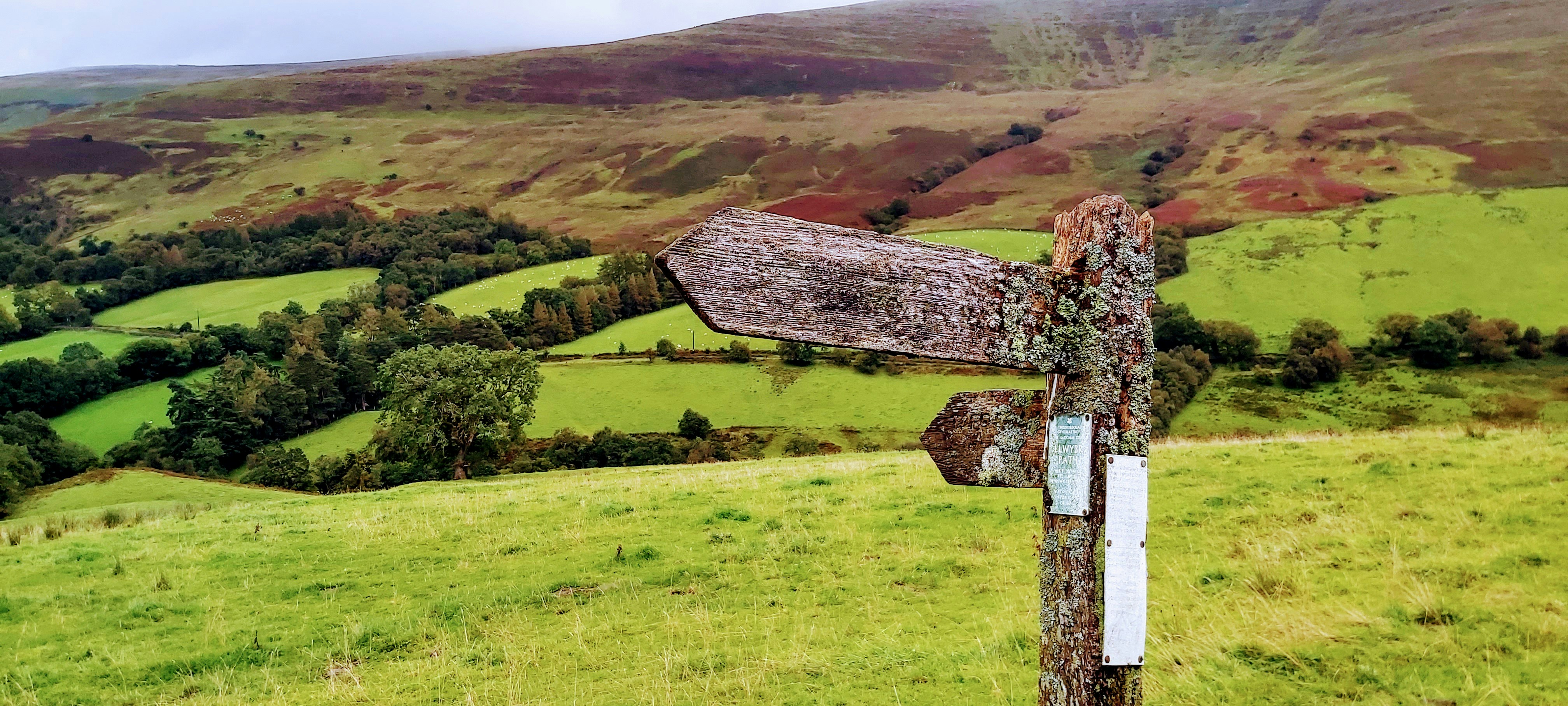brown wooden house on green grass field during daytime, 