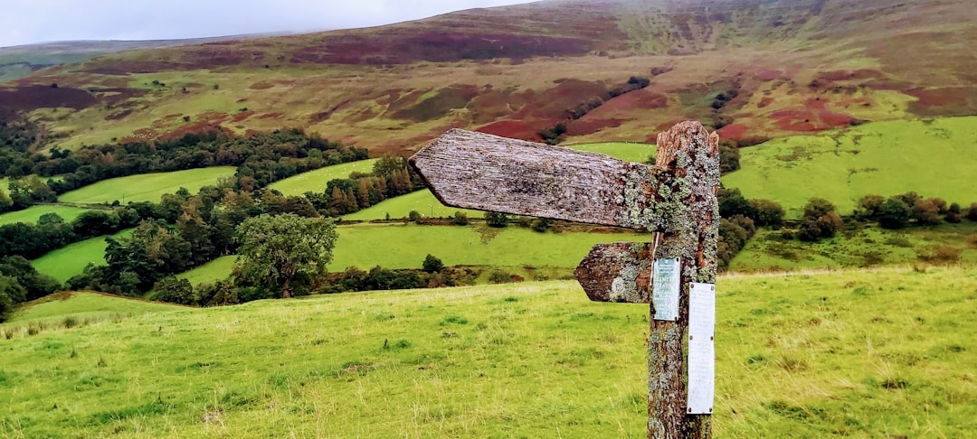 Foodie's Paradise: Savoring the Flavors of Bannau Brycheiniog, Wale… — Foodie's Paradise