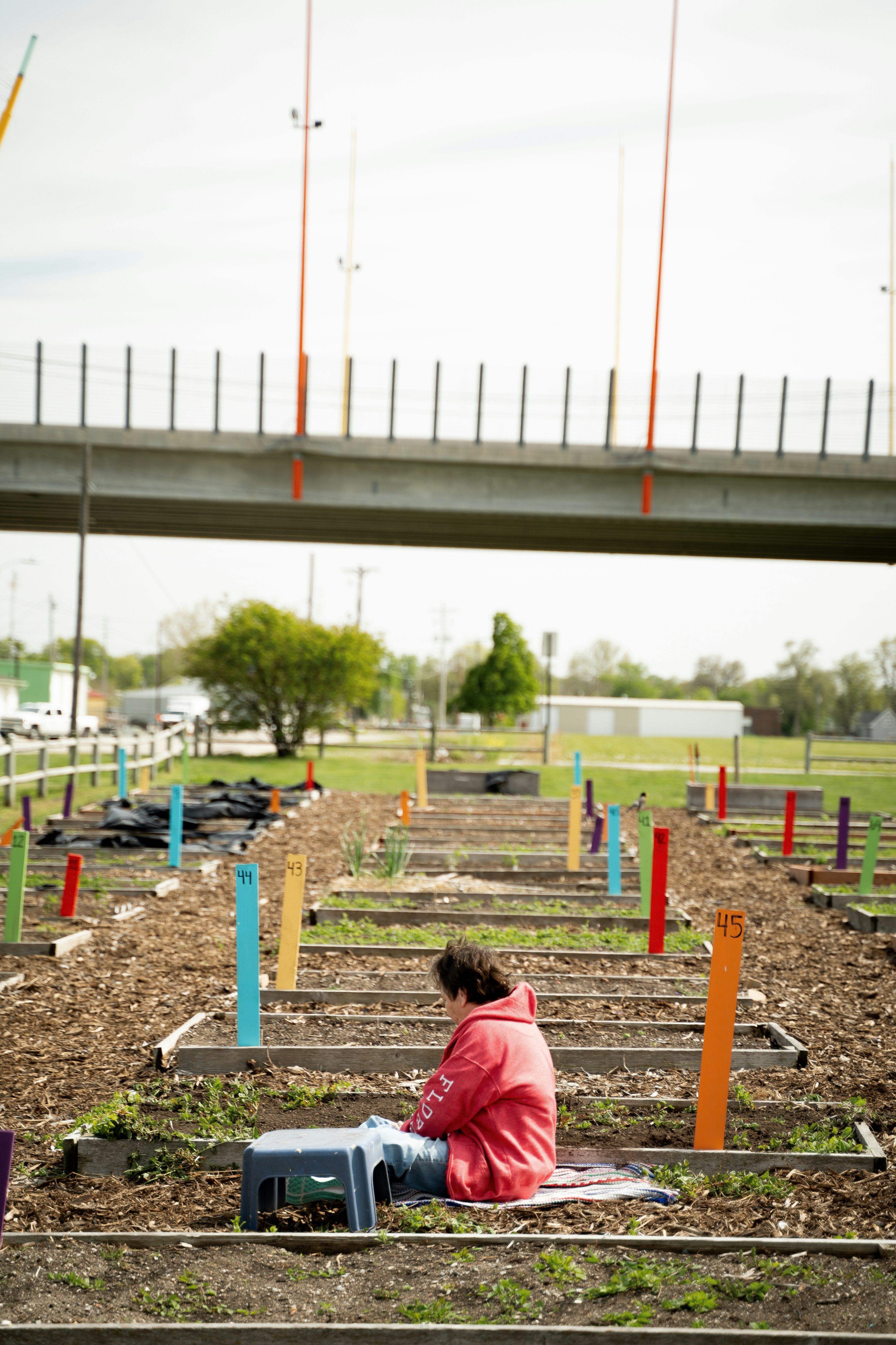 Raised bed vegetable gardening: Planting seedlings in a raised bed garden