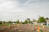 A community garden with multiple empty plots marked by colorful stakes is situated in a suburban neighborhood. Trees and utility poles line the edge of the garden, with residential houses and parked cars visible in the background. The sky is overcast, providing a muted tone to the overall setting.