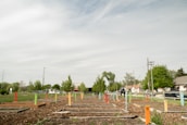Neighbors collaborating outdoors, planting a community garden near their homes.