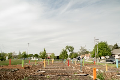 Volunteers collaborating on a community garden project under a sunny sky.