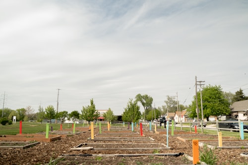 A community garden with multiple empty plots marked by colorful stakes is situated in a suburban neighborhood. Trees and utility poles line the edge of the garden, with residential houses and parked cars visible in the background. The sky is overcast, providing a muted tone to the overall setting.