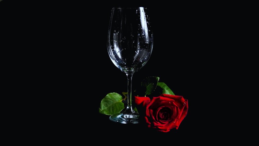 澄んだワイングラスに赤いバラ