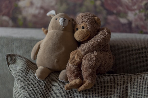 Two stuffed animals, a light brown bear and a dark brown monkey, are placed side by side on a textured, light-colored cushion. The background appears to be a floral pattern.