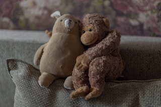 brown bear plush toy on brown textile