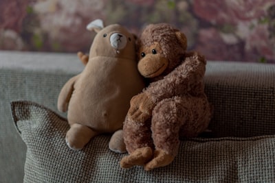 brown bear plush toy on brown textile kind teams background