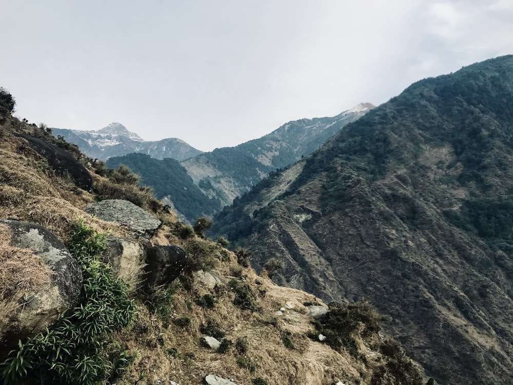 montagne verdi e marroni sotto il cielo bianco durante il giorno