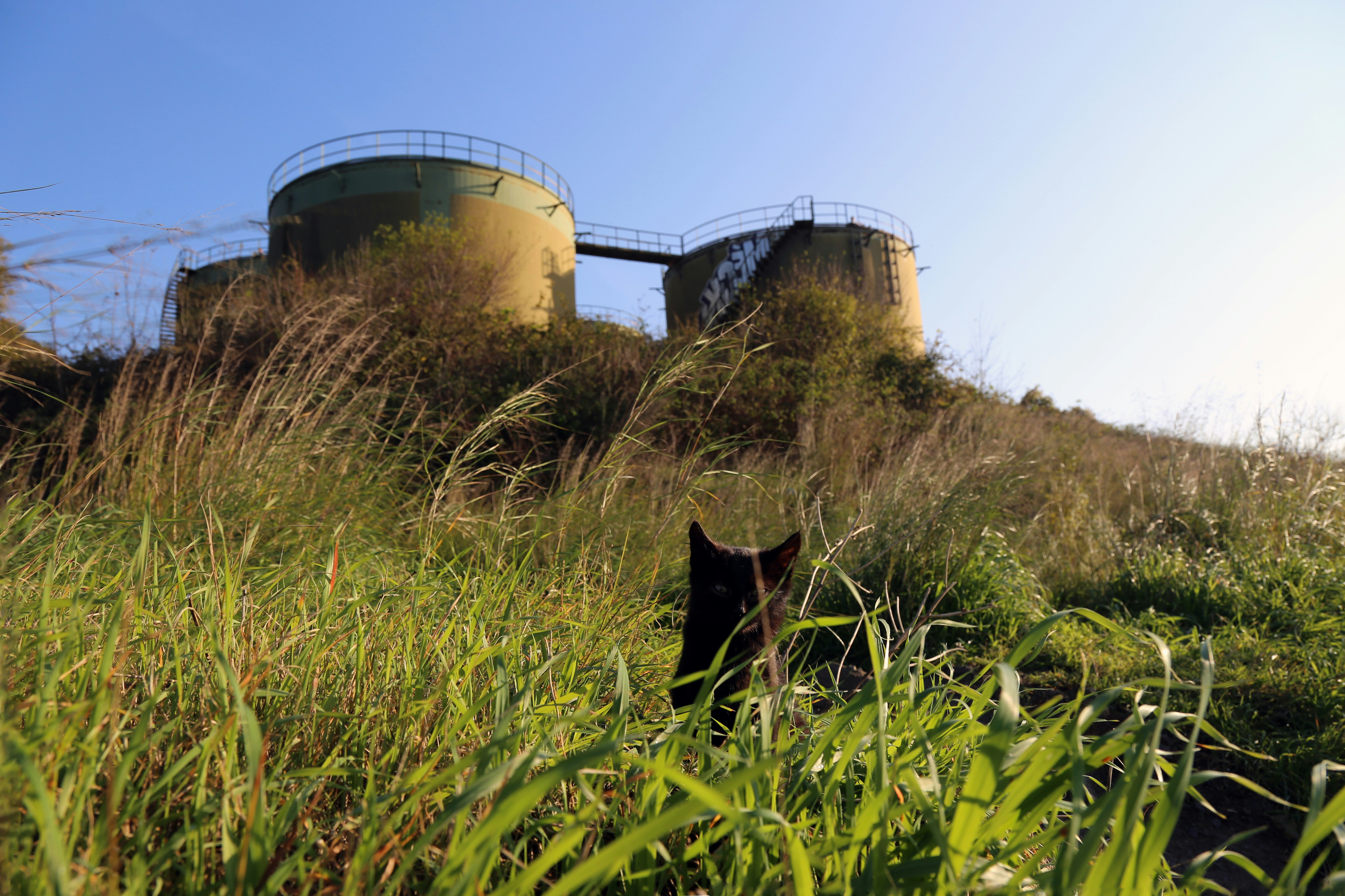 PPP After Dark: There's still hockey?